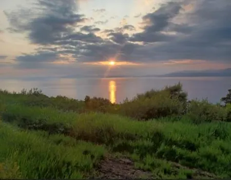 Teach Beag, Gortaforia, Kells, V23 N978 *